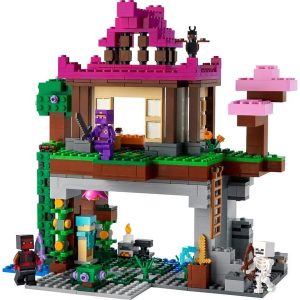 LEGO MINECRAFT OS CAMPOS DE TREINO 21183
